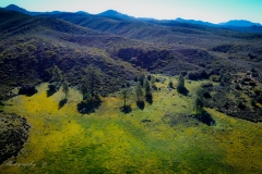 Garner Valley spot from a Drone Shot