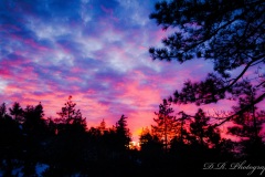 After Sunset