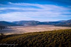 Garner Valley from Garner