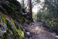Ernie Maxwell Trail