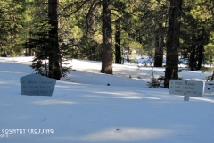 High Country in Snow