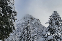Majesty of Lily Rock