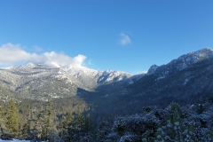 New Years Eve Morning