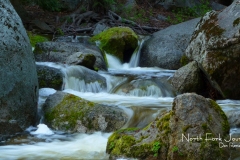 North Fork