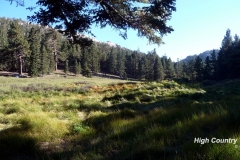 High Country Valley